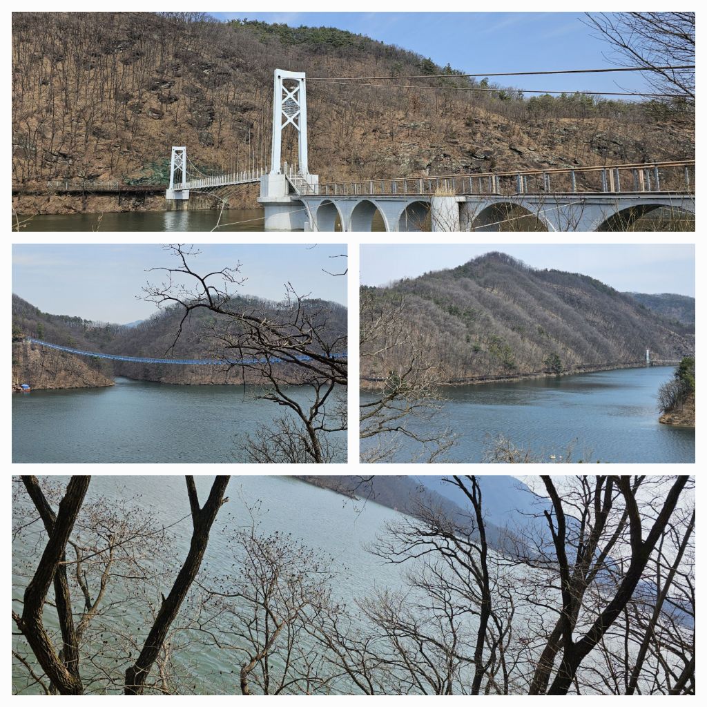 게시글 대표 이미지