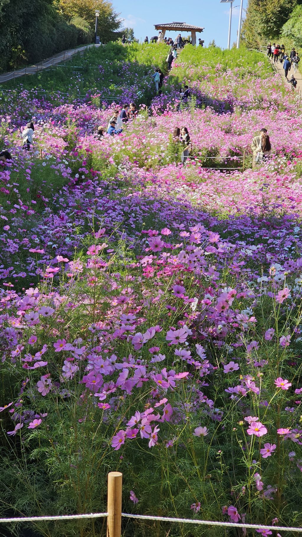 게시글 대표 이미지