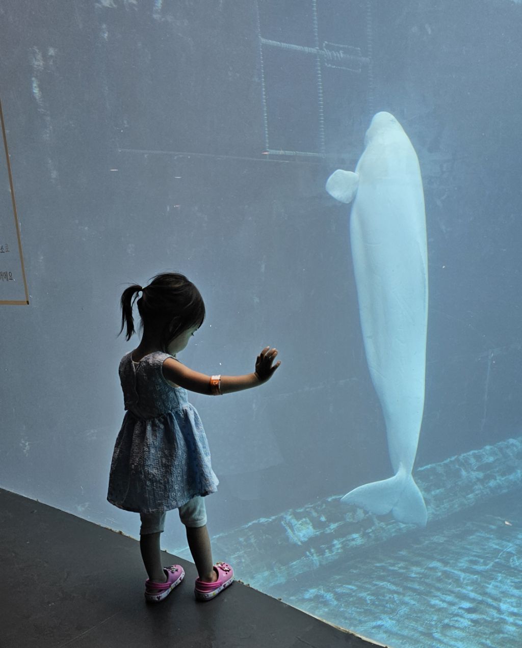 게시글 대표 이미지