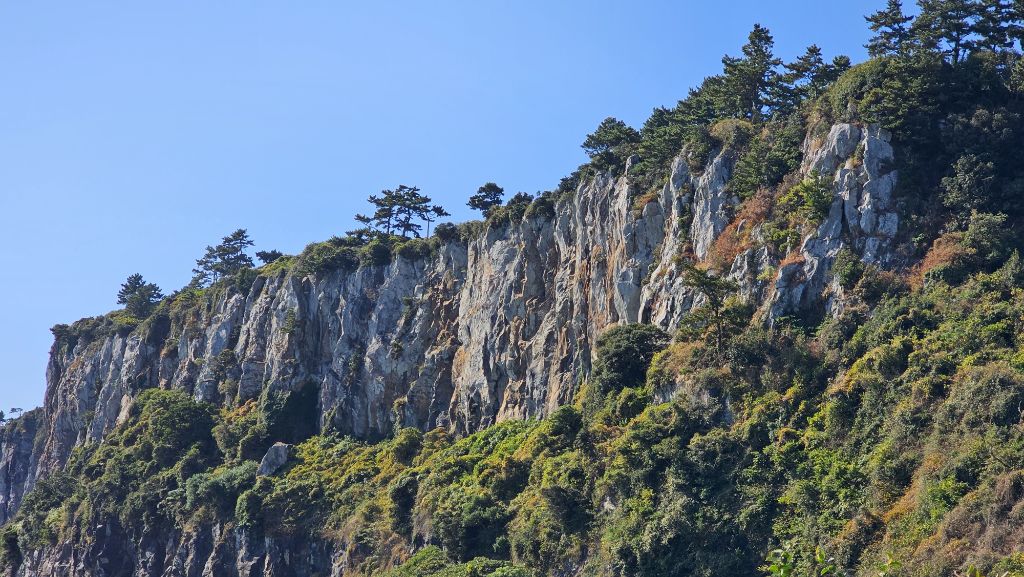 게시글 대표 이미지