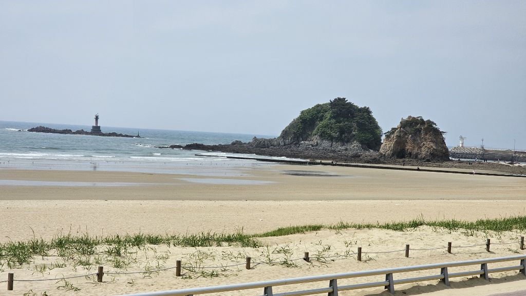 게시글 대표 이미지