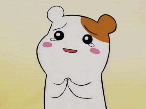 게시글 대표 이미지