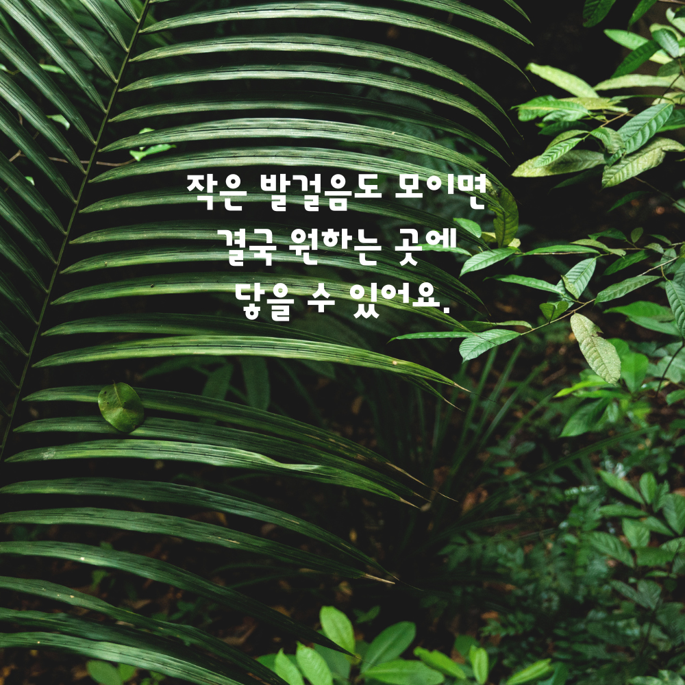 게시글 대표 이미지