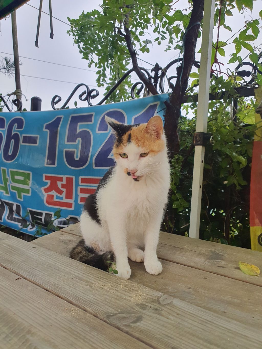 게시글 대표 이미지