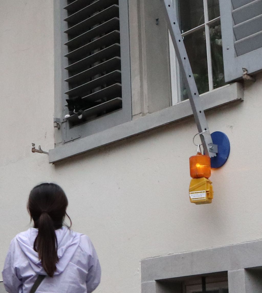 게시글 대표 이미지