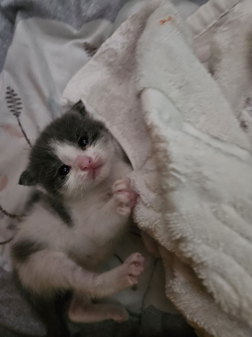 게시글 대표 이미지