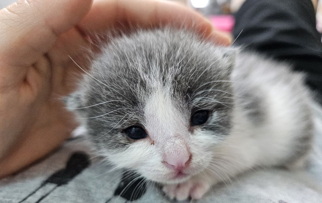 게시글 대표 이미지