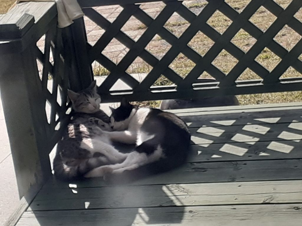 게시글 대표 이미지