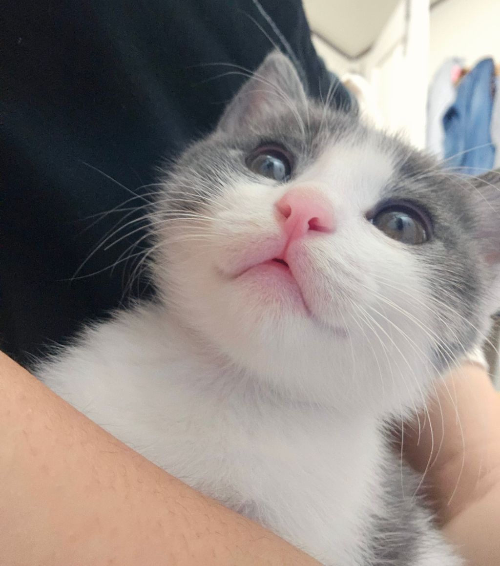 게시글 대표 이미지