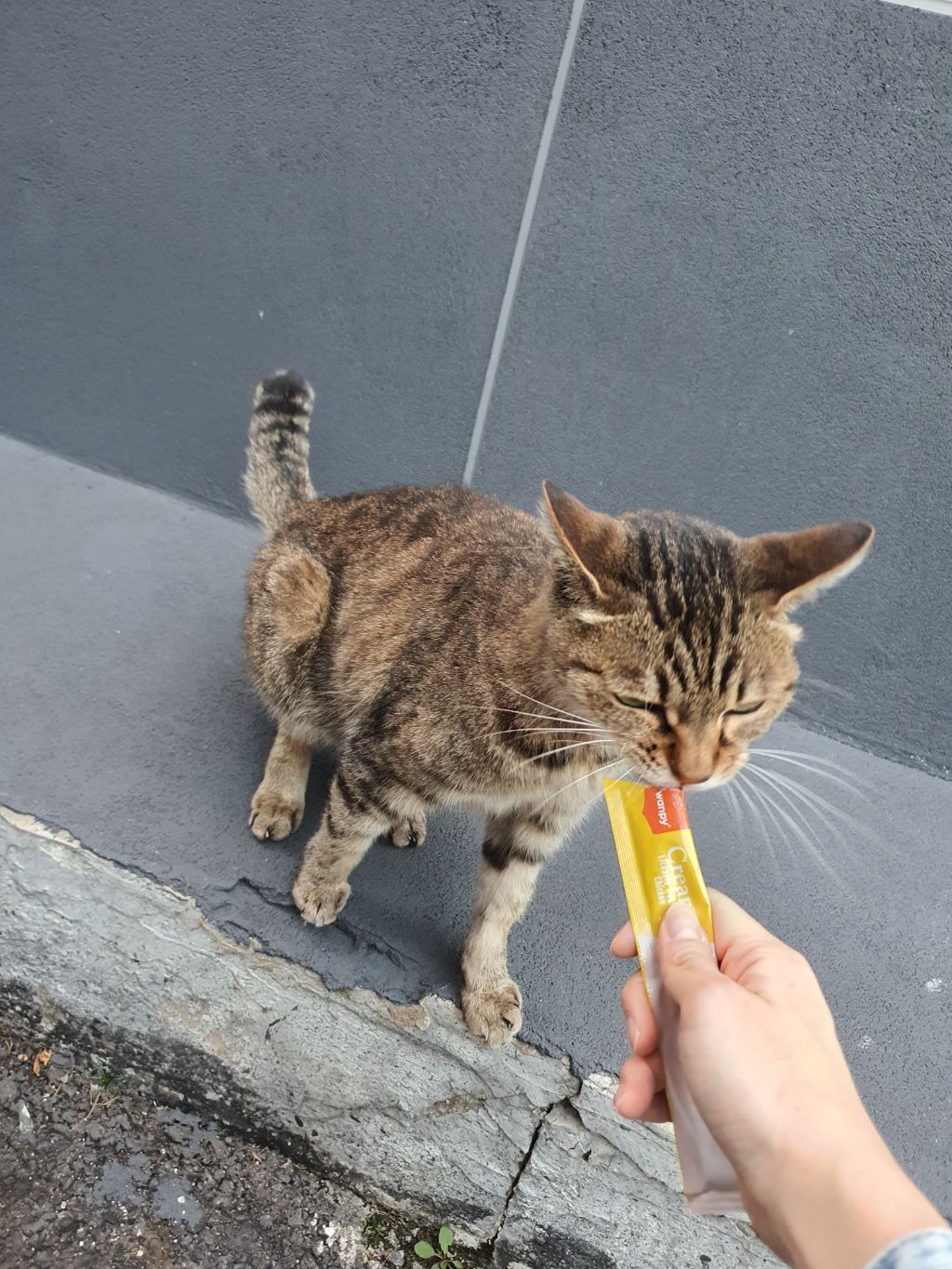 게시글 대표 이미지