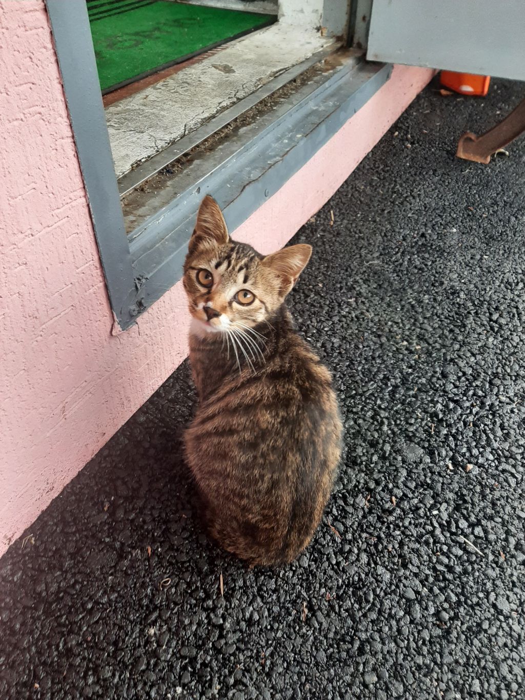 게시글 대표 이미지