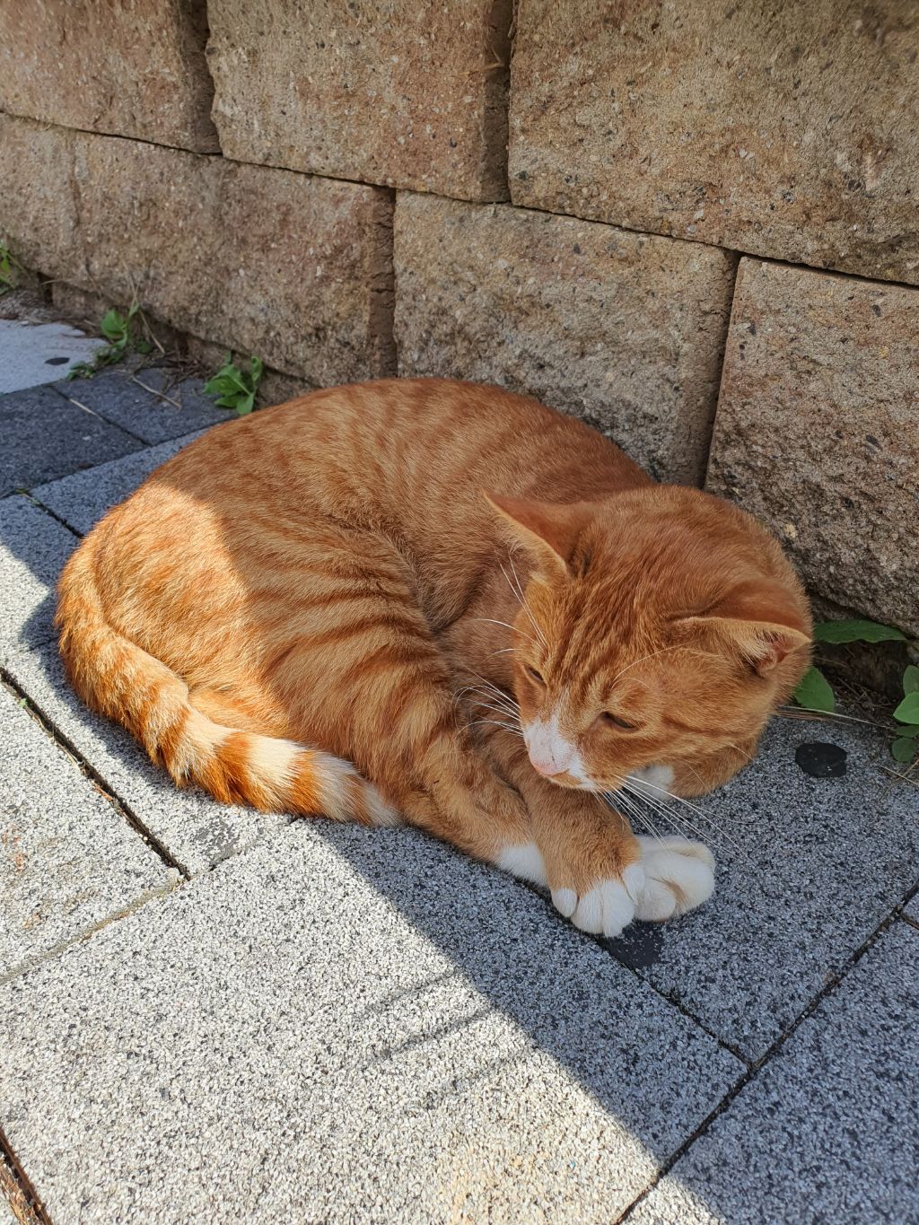 게시글 대표 이미지