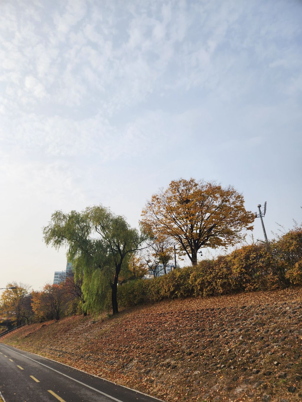 게시글 대표 이미지