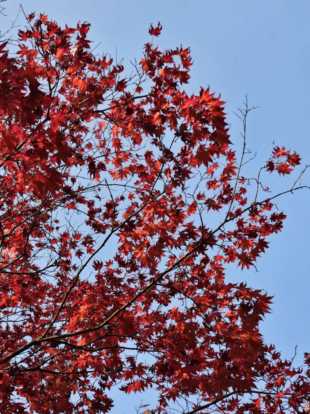 게시글 대표 이미지