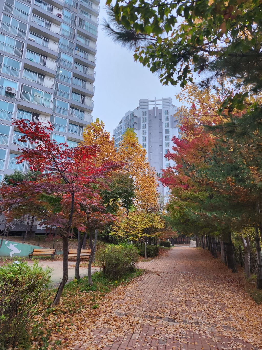 게시글 대표 이미지