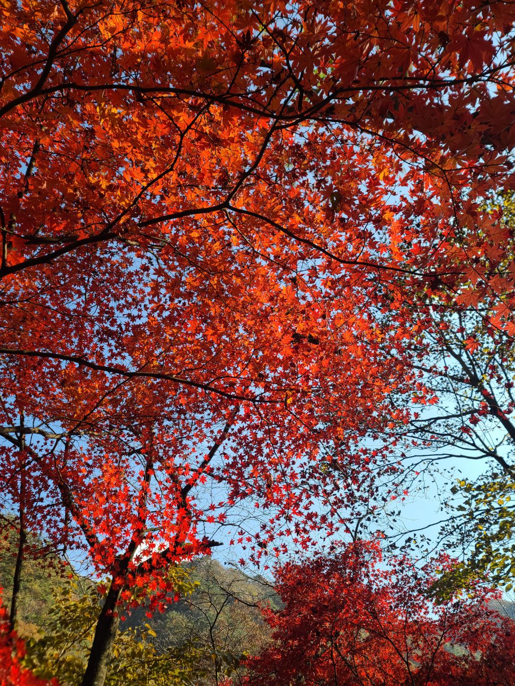 게시글 대표 이미지