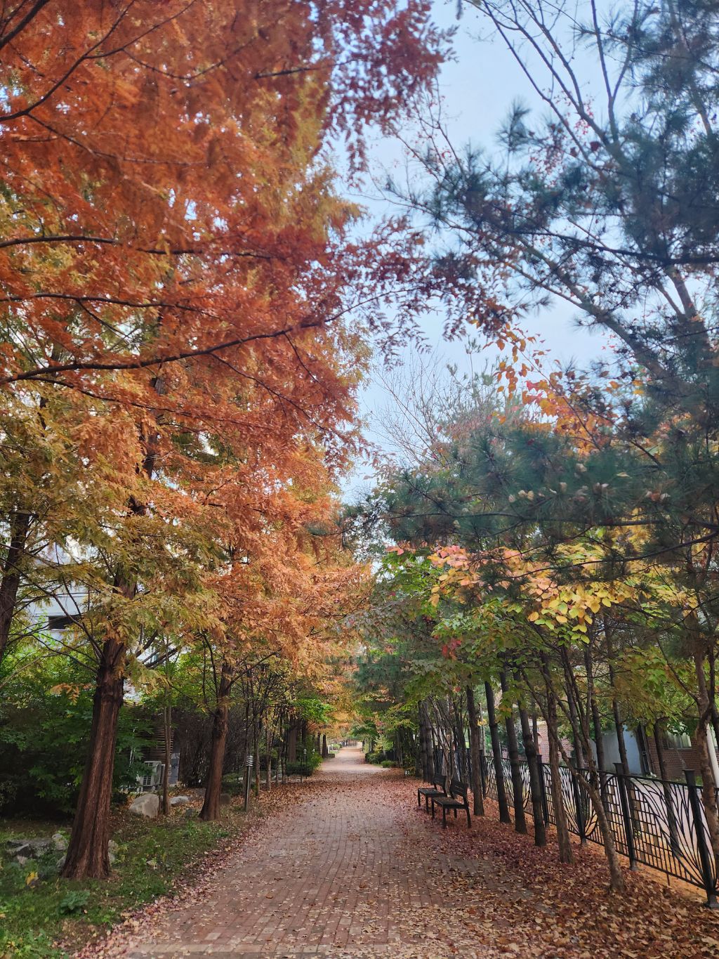 게시글 대표 이미지