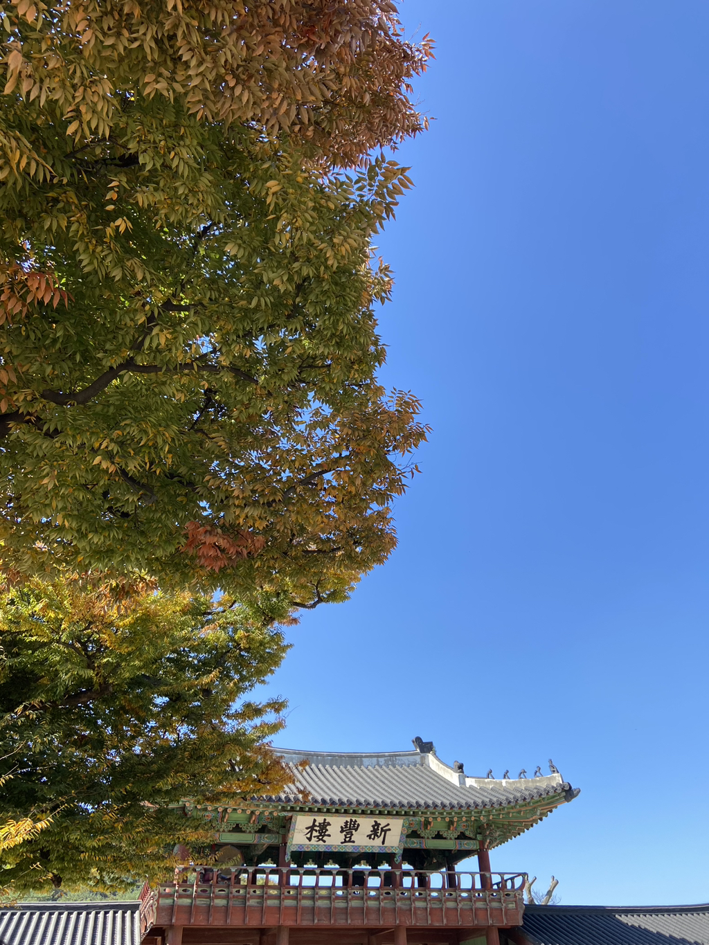 게시글 대표 이미지