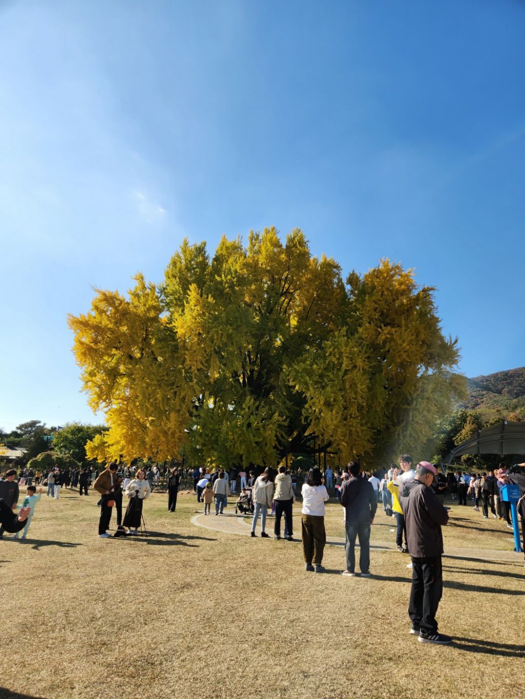 게시글 대표 이미지