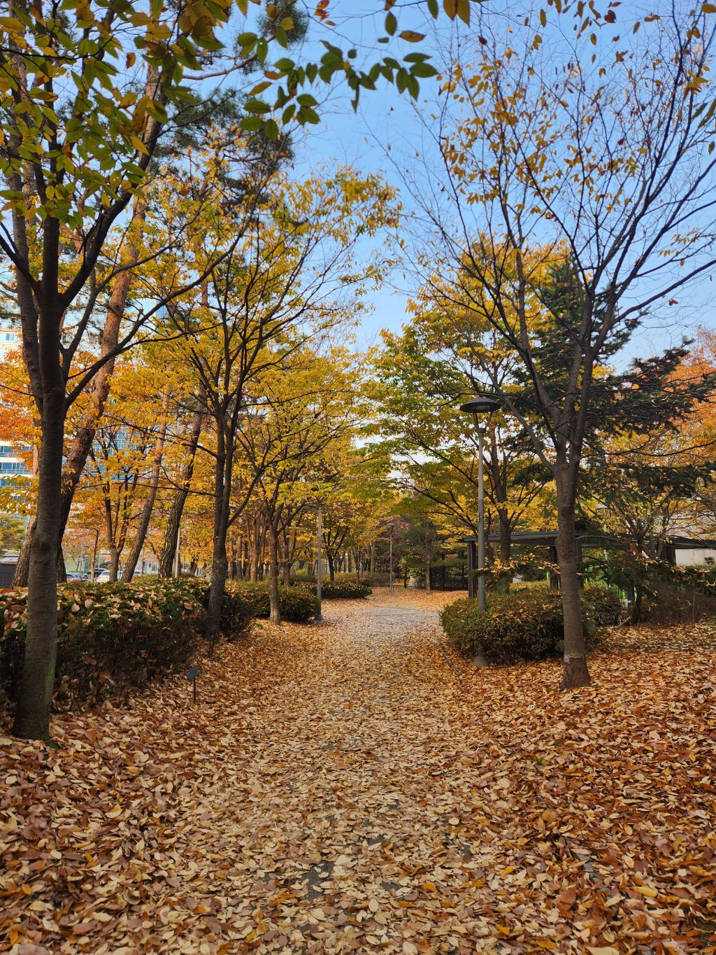 게시글 대표 이미지