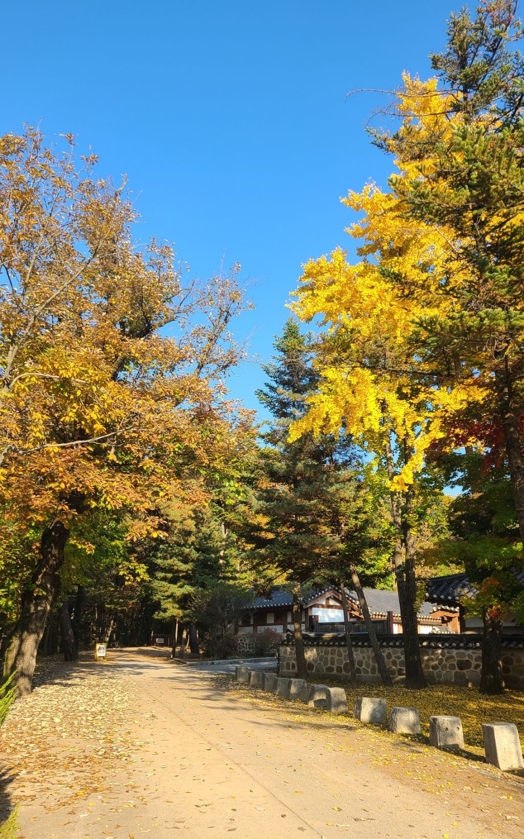 게시글 대표 이미지