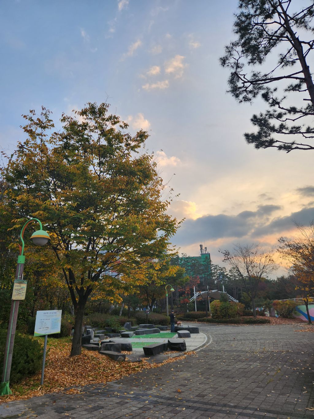 게시글 대표 이미지