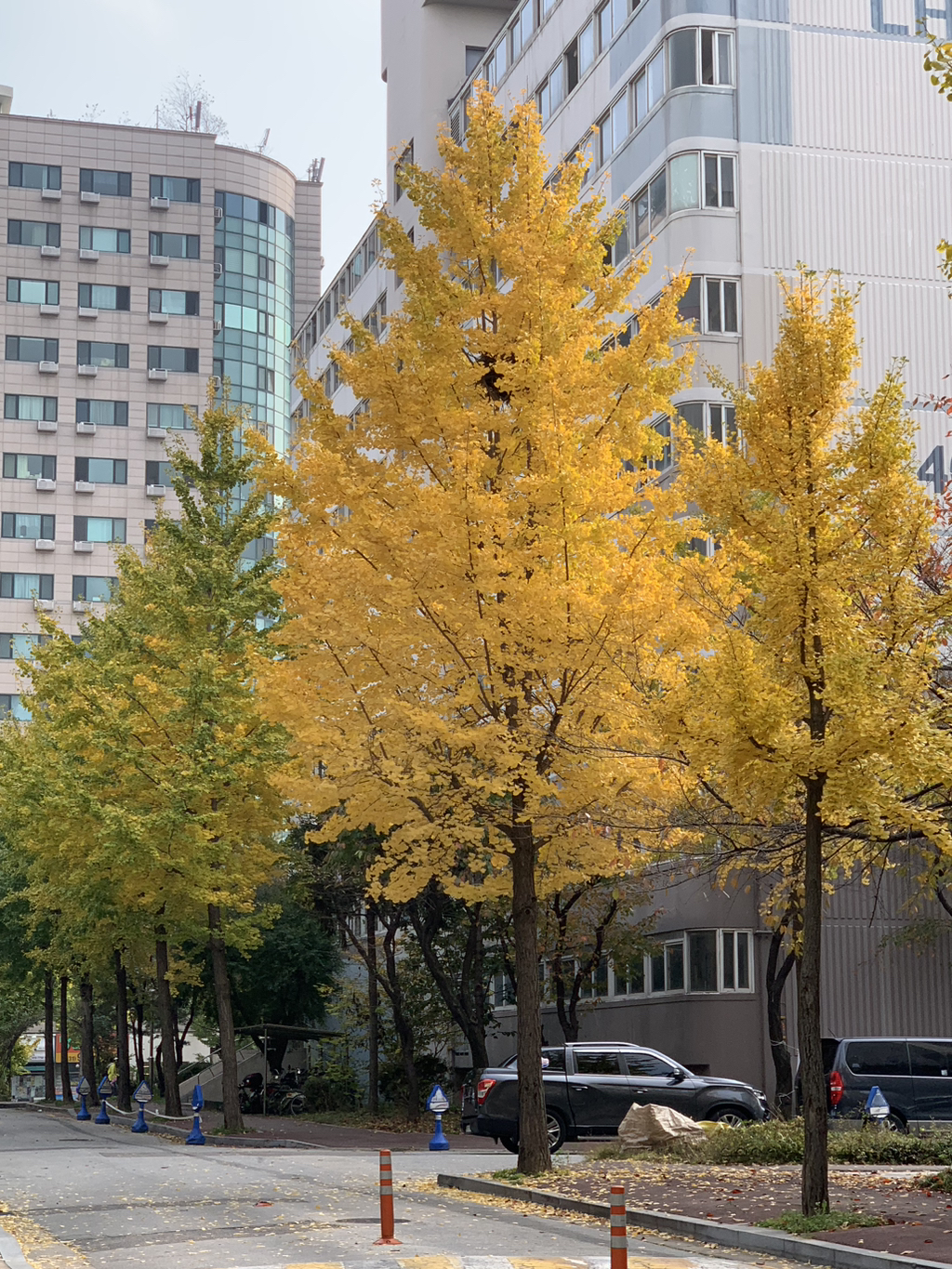 게시글 대표 이미지