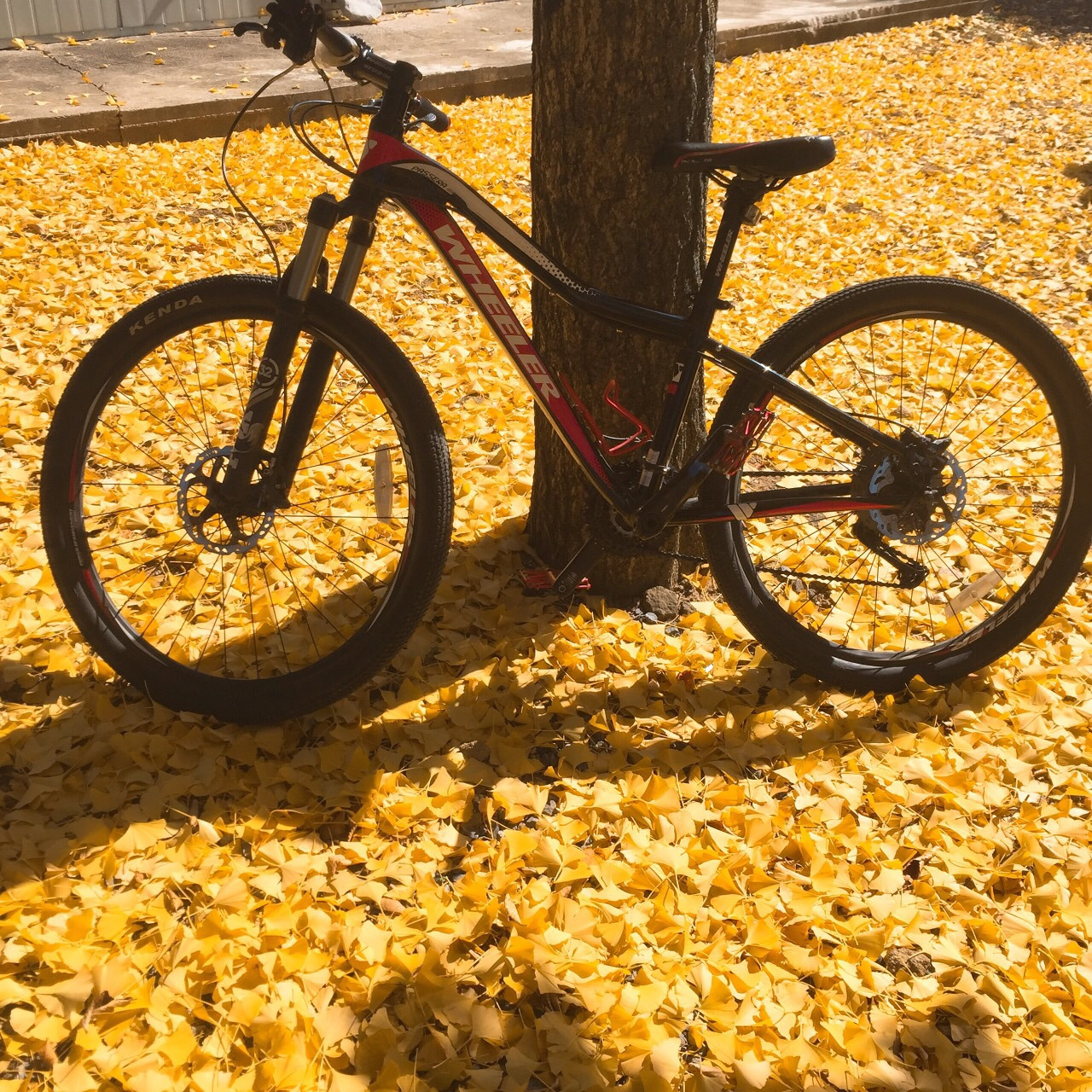 게시글 대표 이미지