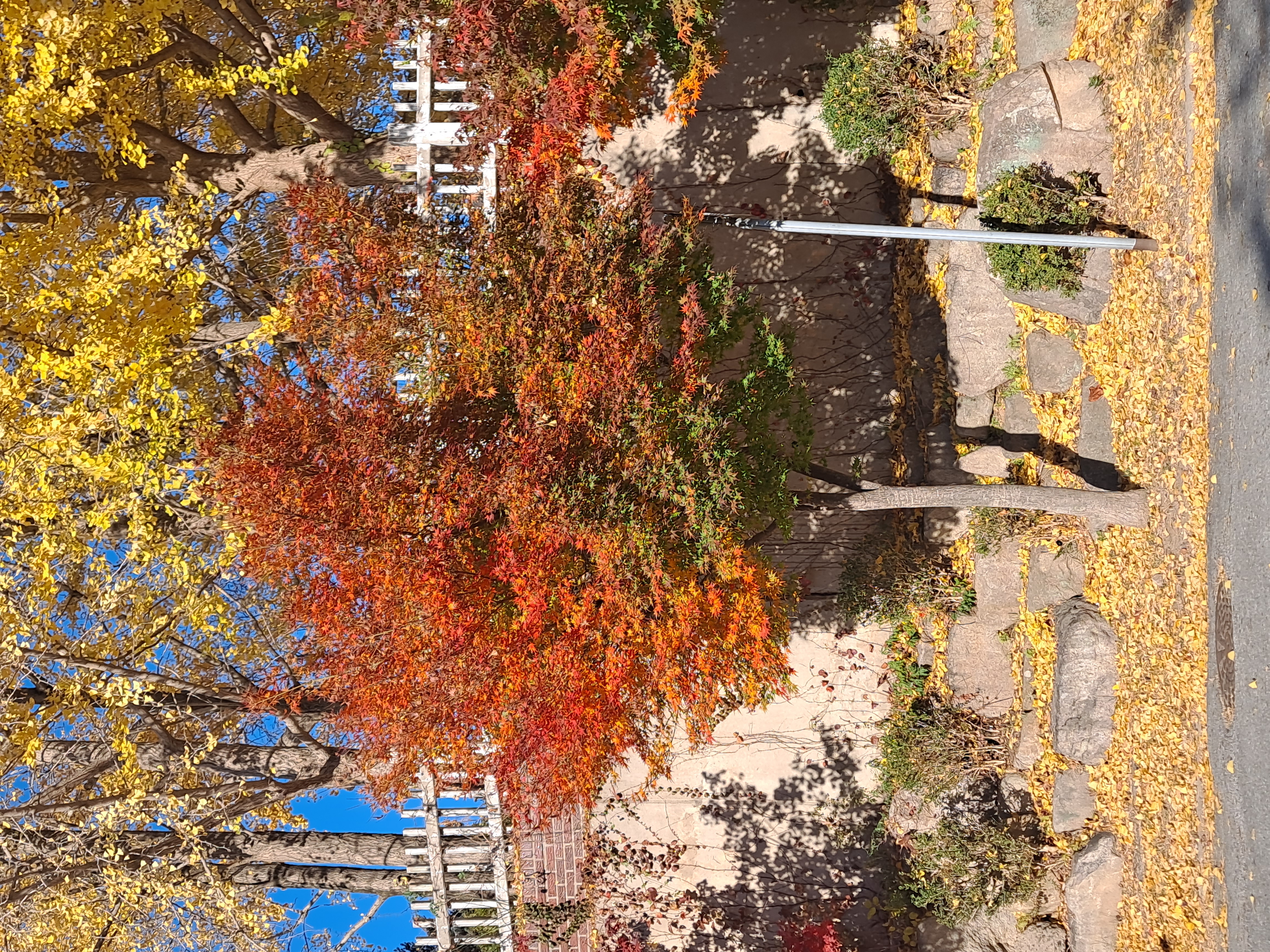 게시글 대표 이미지