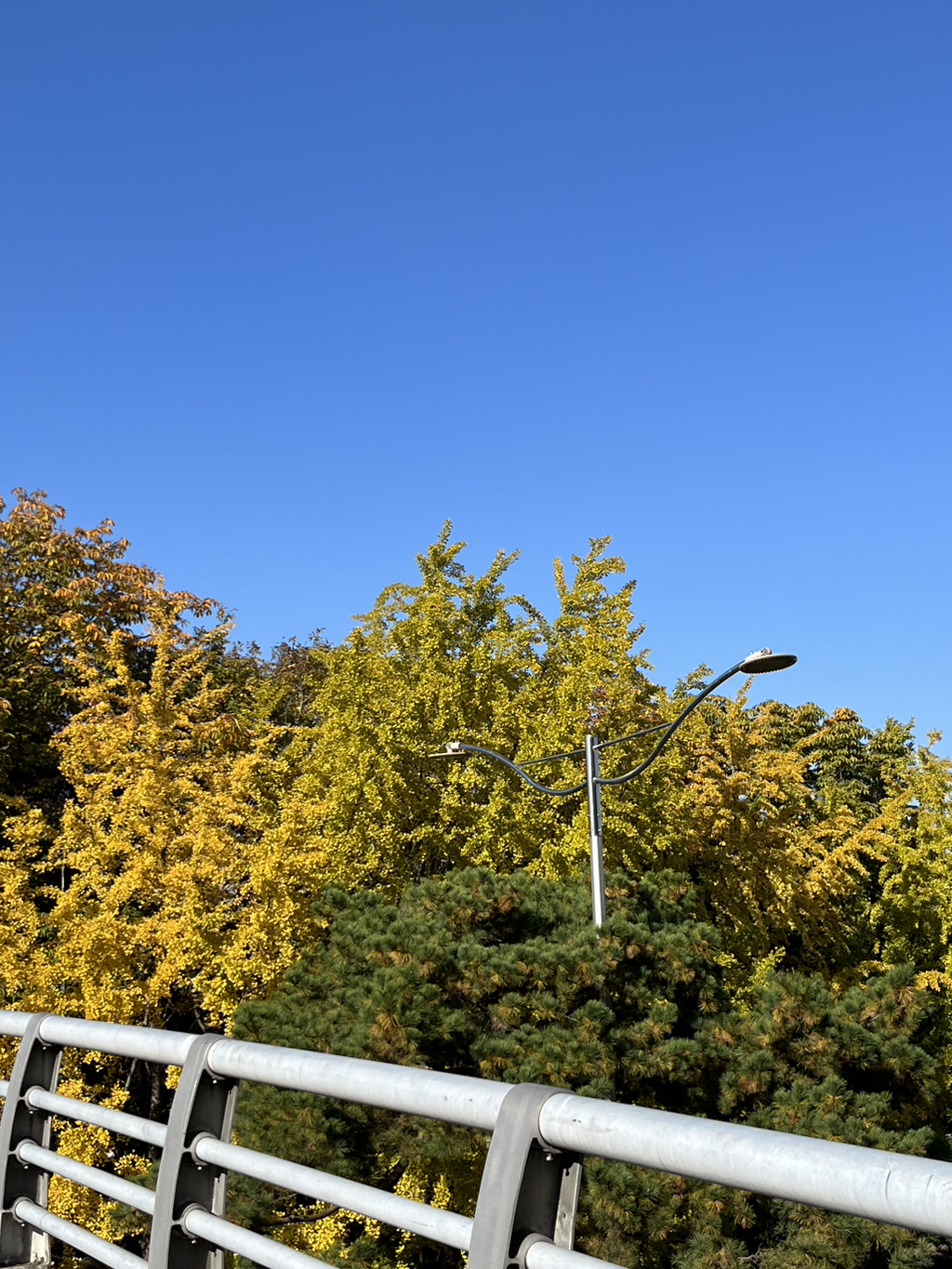 게시글 대표 이미지