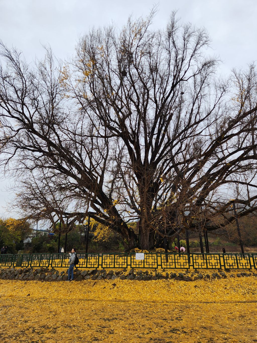 게시글 대표 이미지
