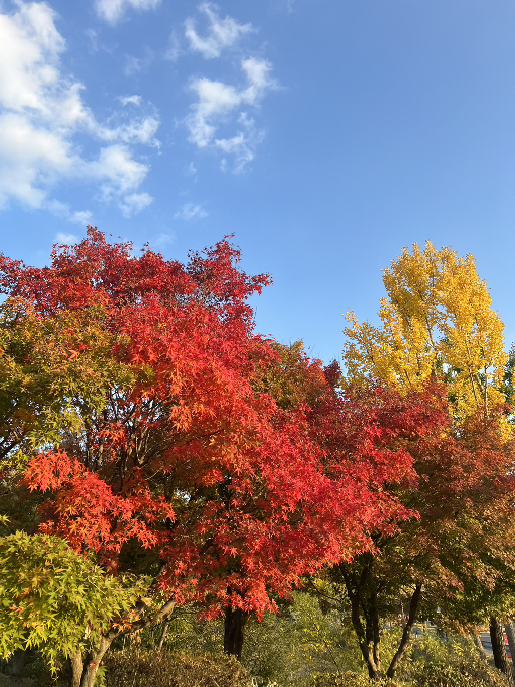 게시글 대표 이미지