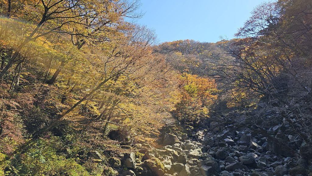 게시글 대표 이미지