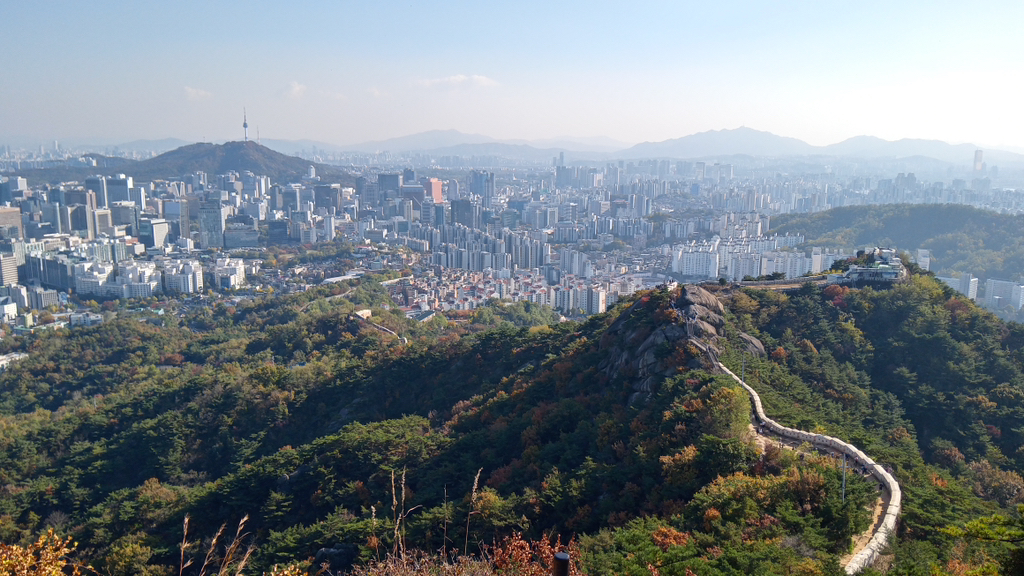 게시글 대표 이미지