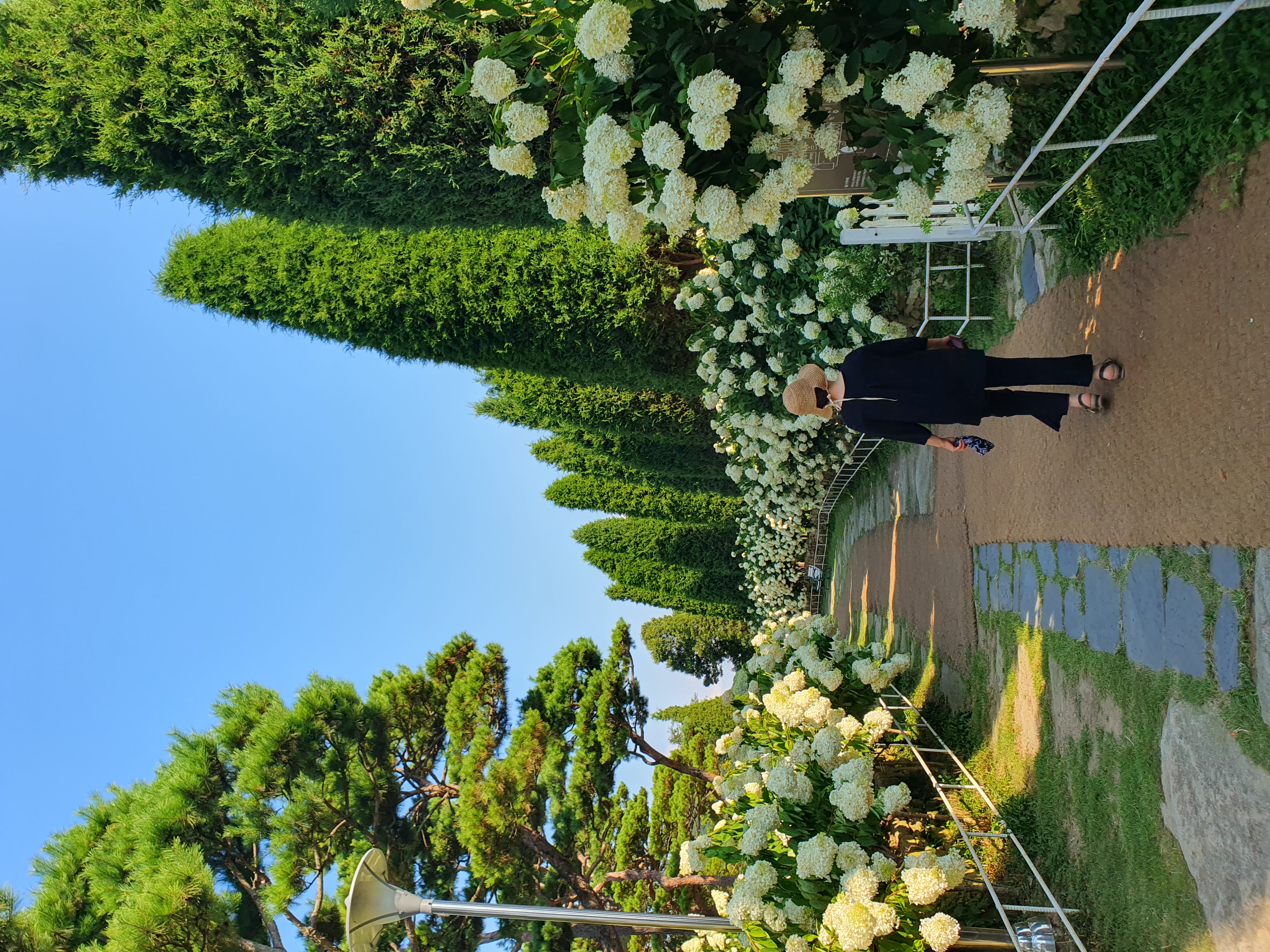 게시글 대표 이미지