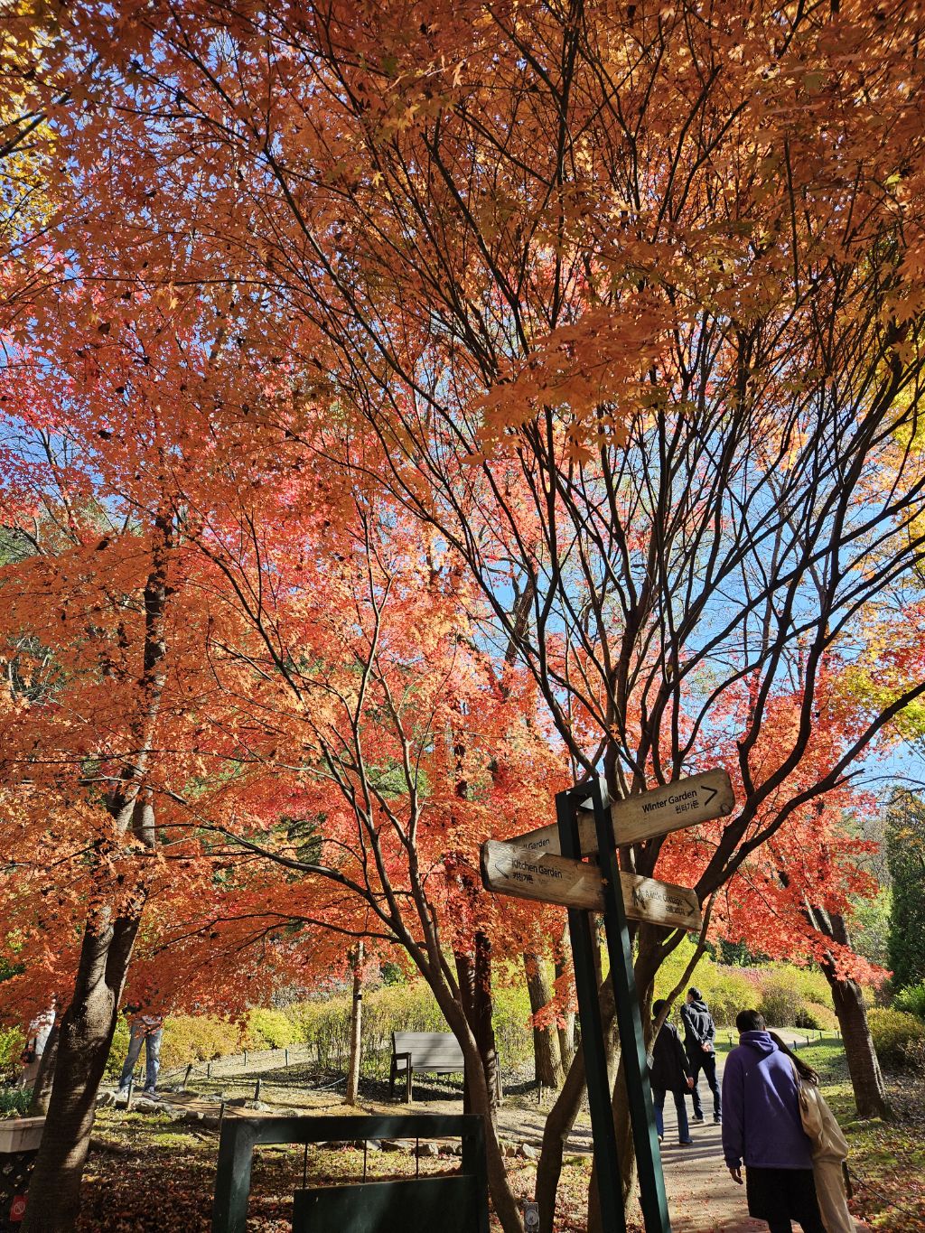 게시글 대표 이미지