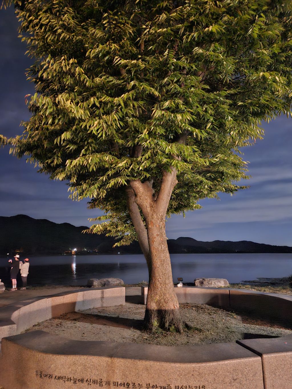 게시글 대표 이미지