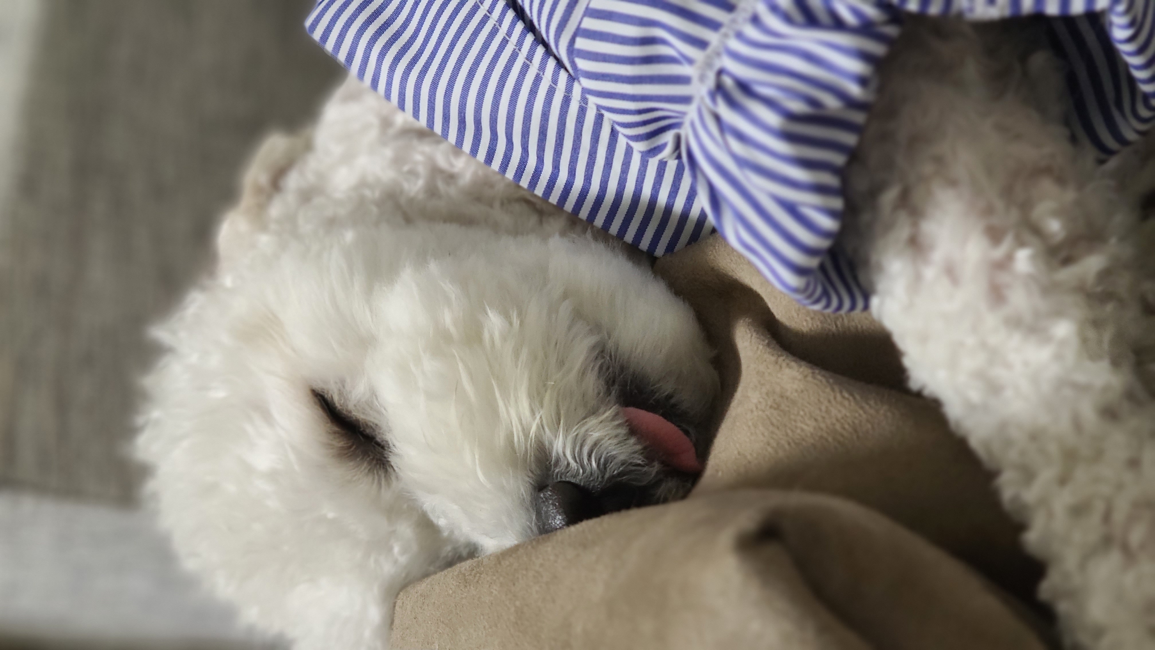 게시글 대표 이미지