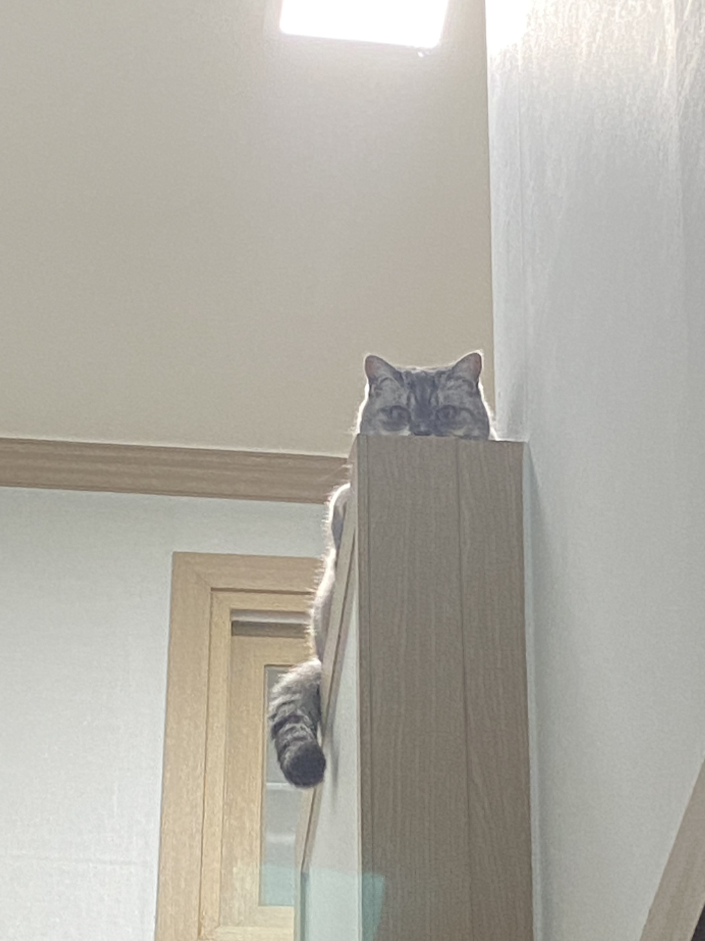 게시글 대표 이미지