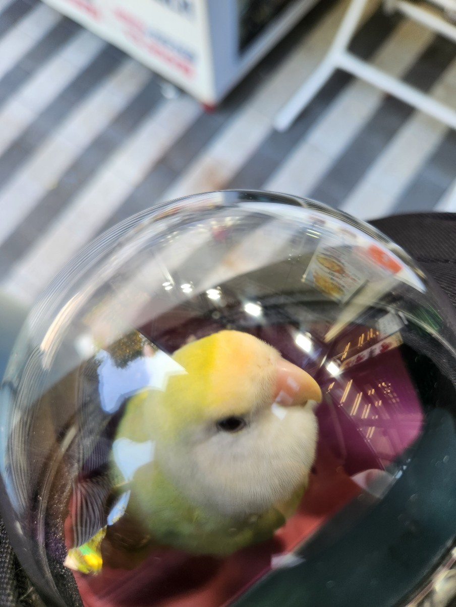 게시글 대표 이미지