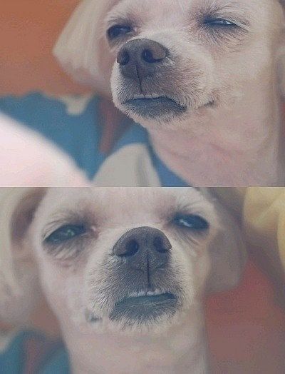 게시글 대표 이미지