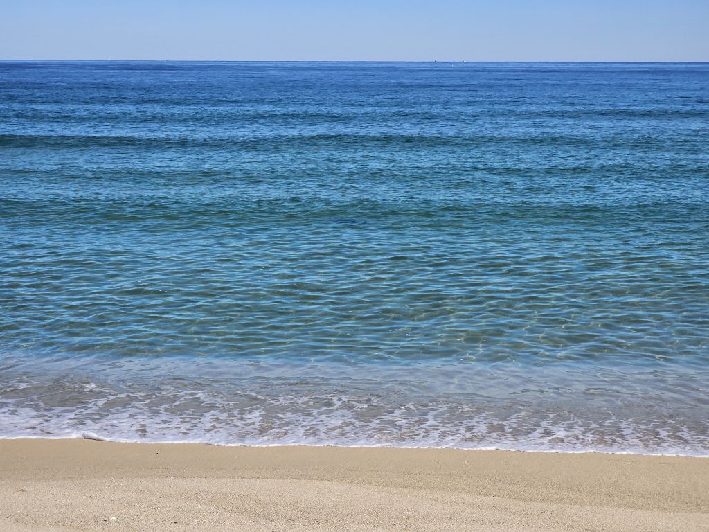 게시글 대표 이미지