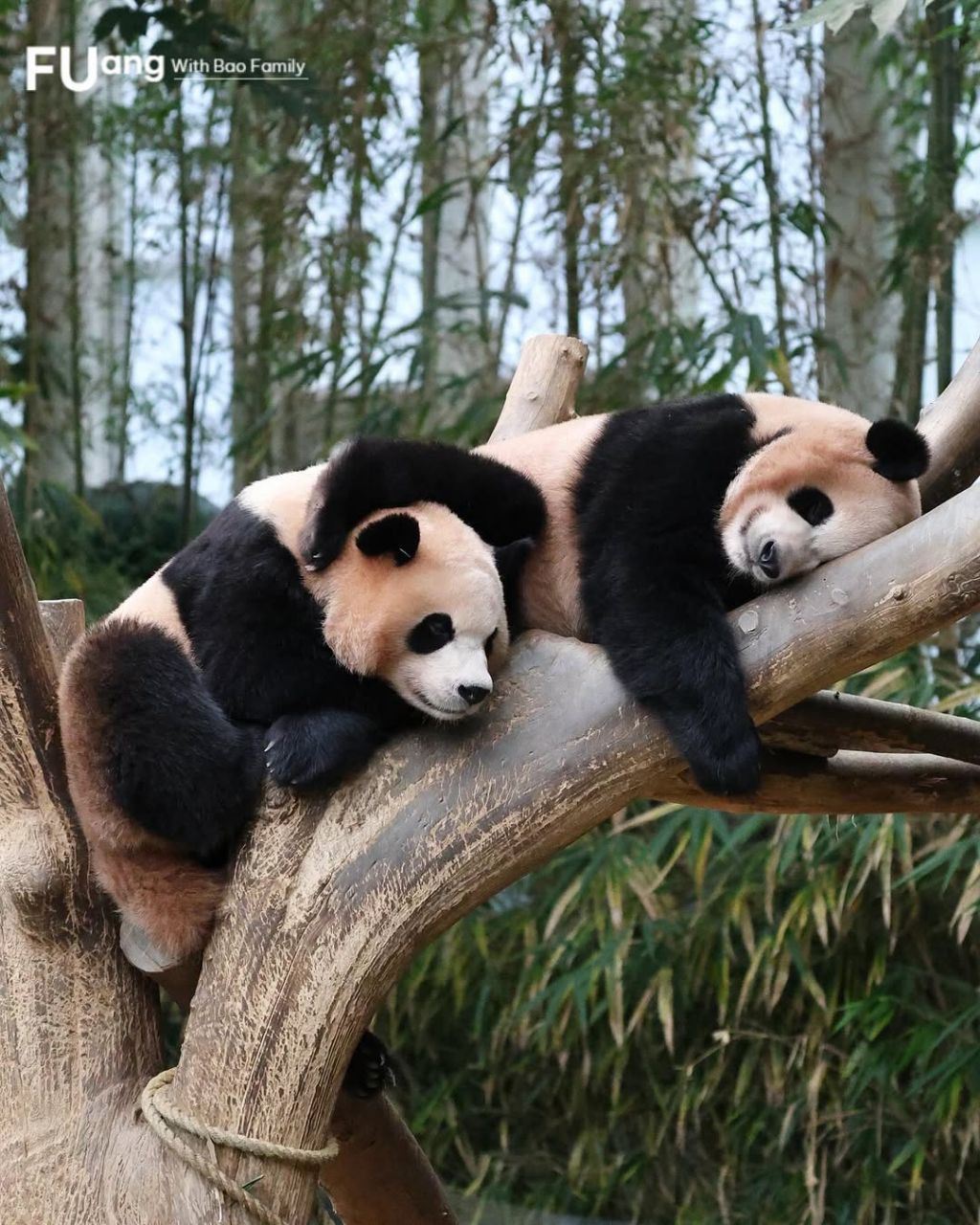 게시글 대표 이미지