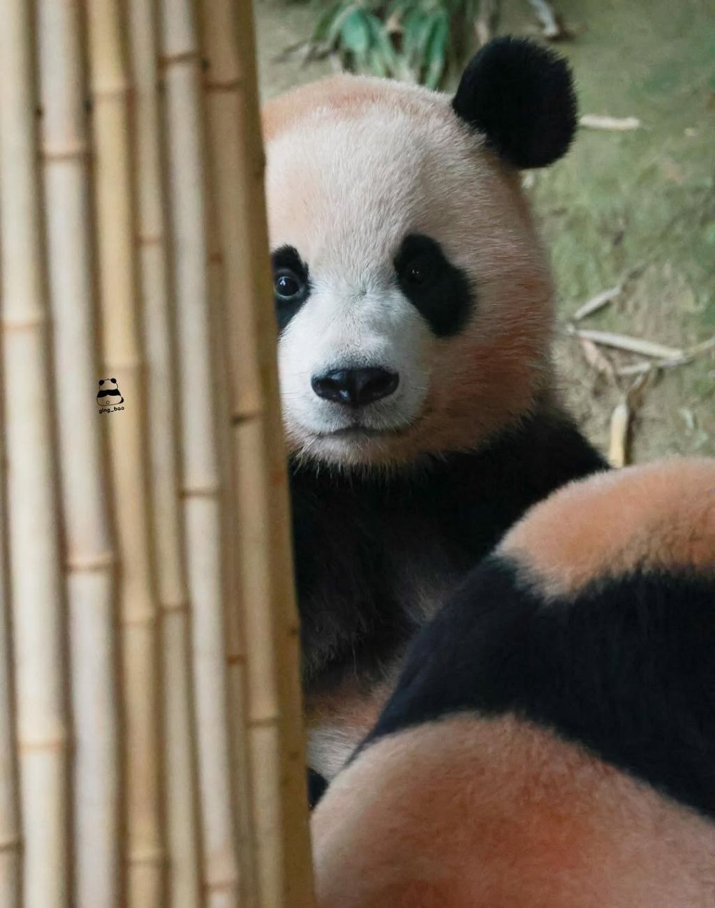 게시글 대표 이미지