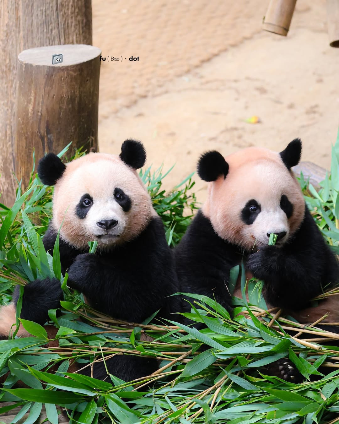 게시글 대표 이미지