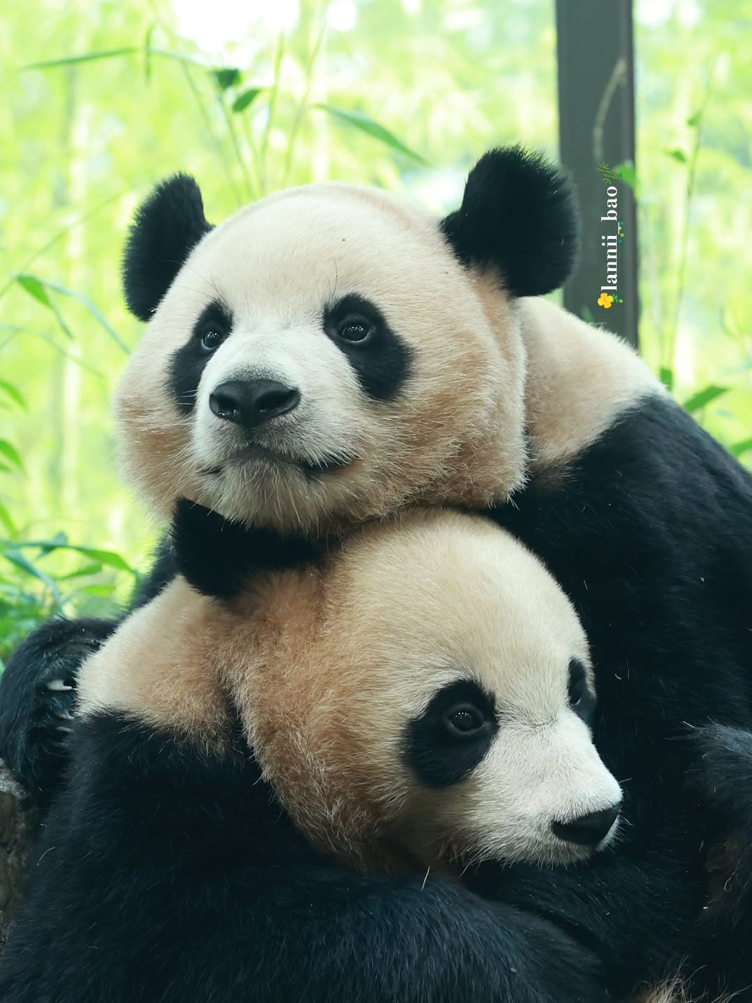 게시글 대표 이미지