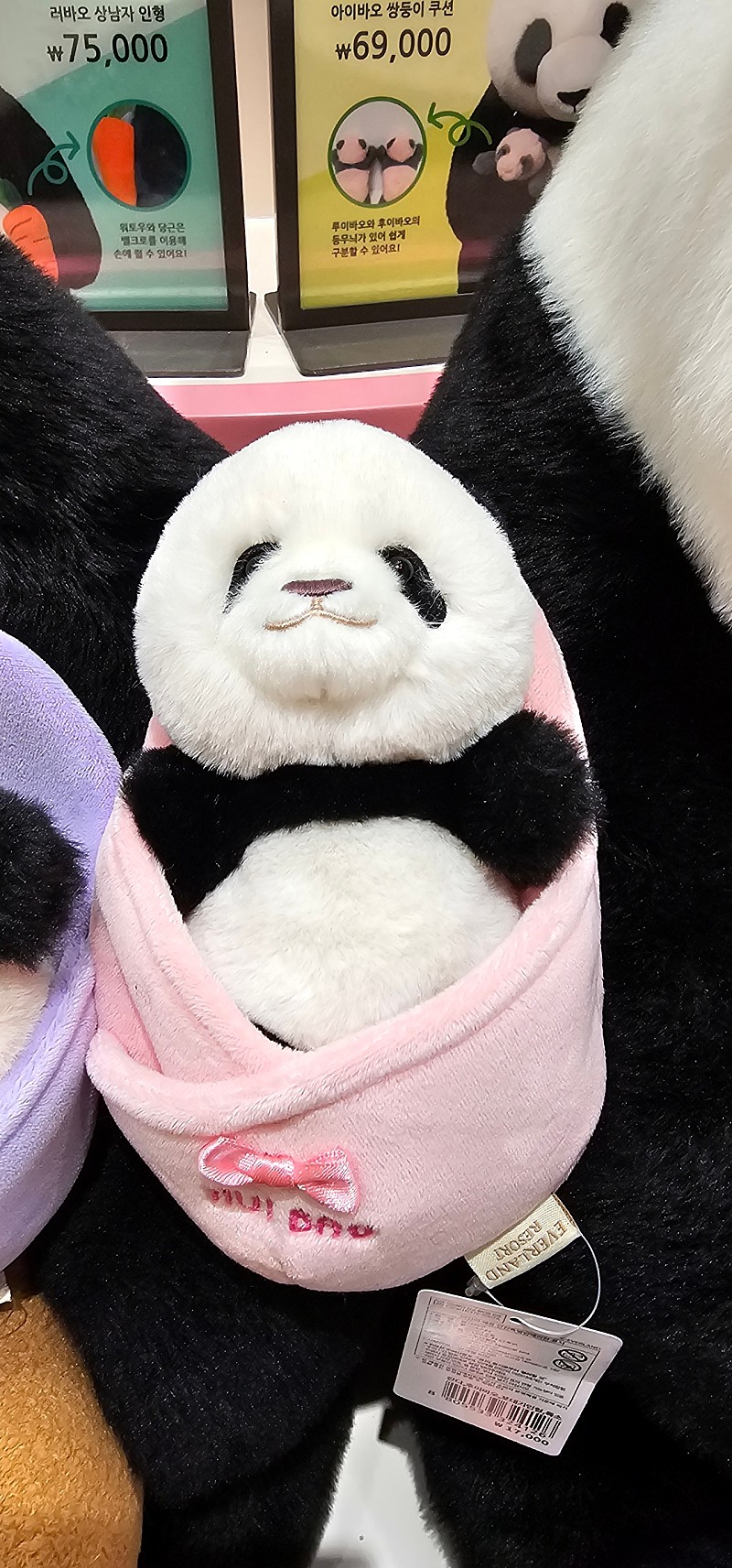 대표이미지