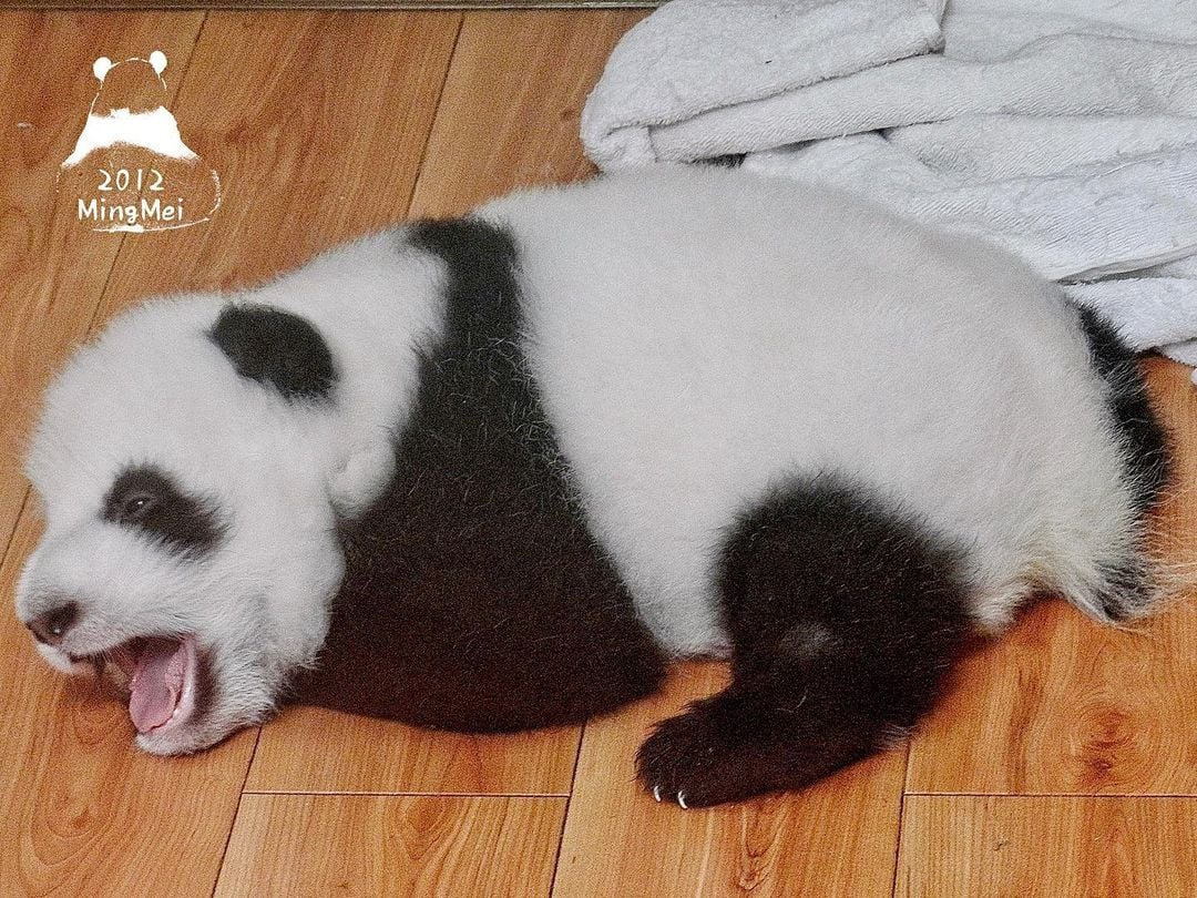 게시글 대표 이미지