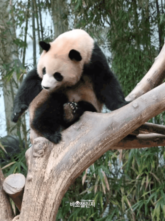 게시글 대표 이미지