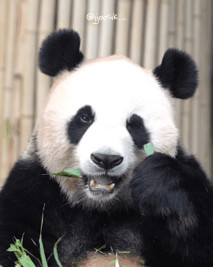 게시글 대표 이미지